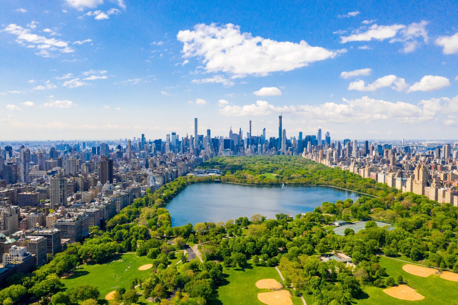 central park shutterstock_image credit pandora pictures